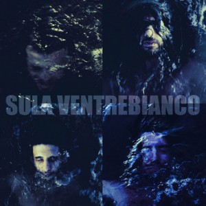 SulaVentrebianco1