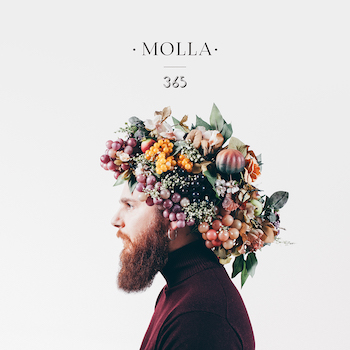 molla365cover